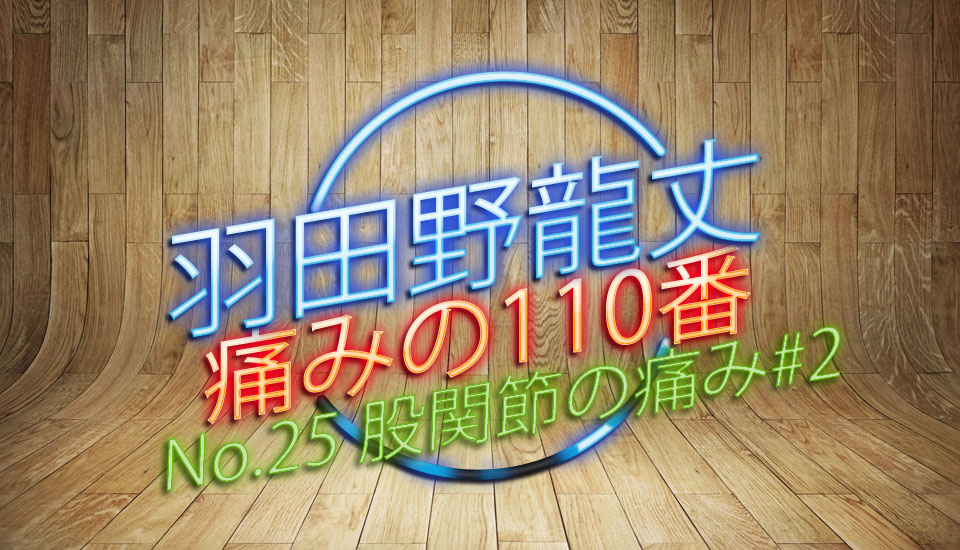 痛みの110番25股関節の痛み#2